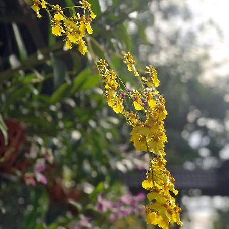 הו צ'י מין סיטי Thanh Thuy מראה חיצוני תמונה